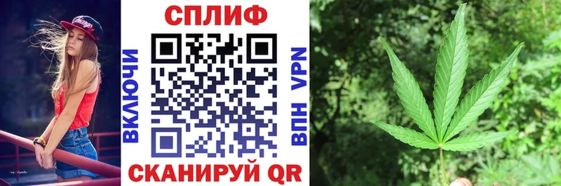 Сколько стоит Фрязино Амфетамин  Бошки Шишки  COCAIN 