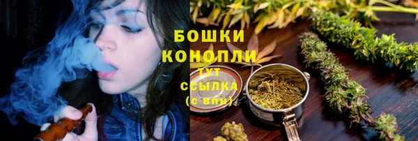 прущие грибы Балахна