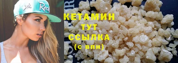 прущие грибы Балахна