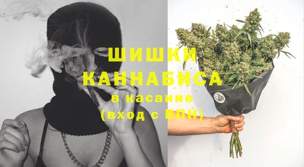 прущие грибы Балахна